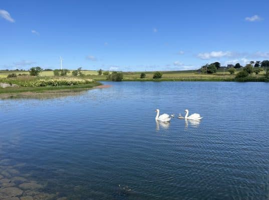 Gillingshill Reservoir & Nature Reserve, Arncroach, Anstruther, Fife, KY10 2RX