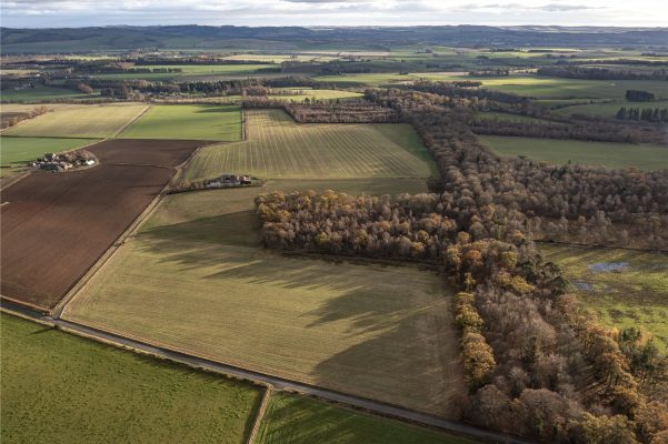 Land At Sturt Farm, Forfar, Angus, DD8 3TU