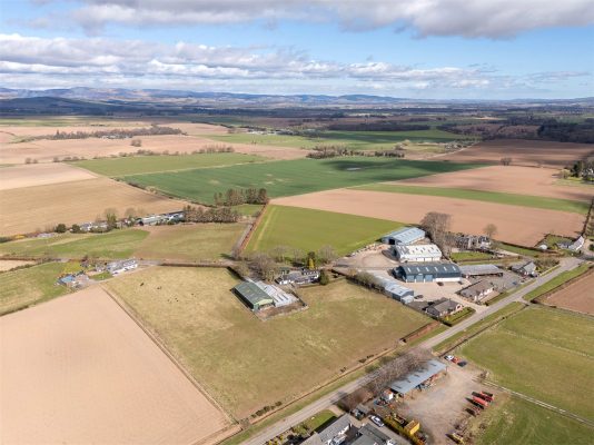Roepark Holdings, Little Brechin, Brechin, Angus, DD9 6RQ